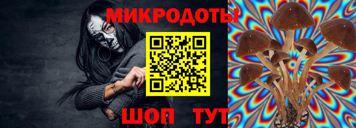 Галлюциногенные грибы Psilocybine cubensis  Вход с VPN  Донецк 